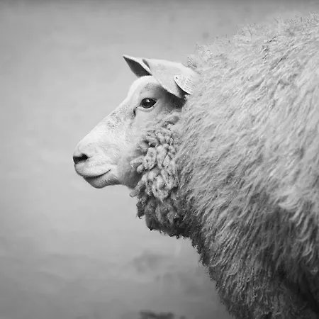 Ferme De Franqueville Сasa de vacaciones *