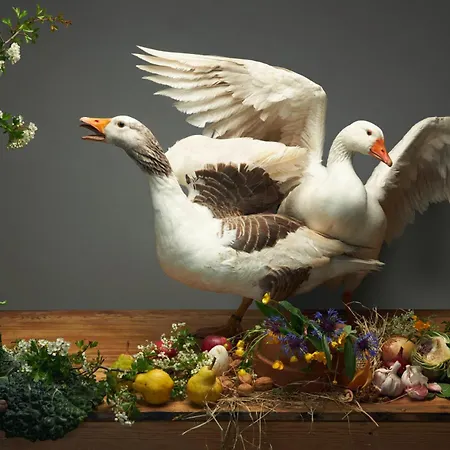 Ferme De Franqueville *