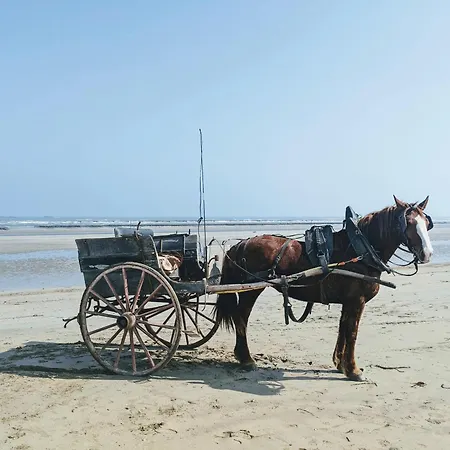 Ferme De Franqueville * Sainte-Marie-du-Mont (Manche)