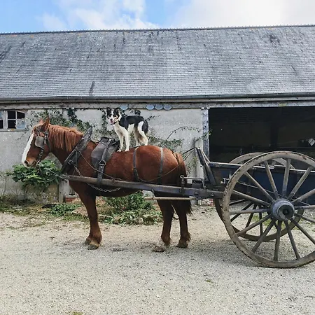 Ferme De Franqueville Holiday home *