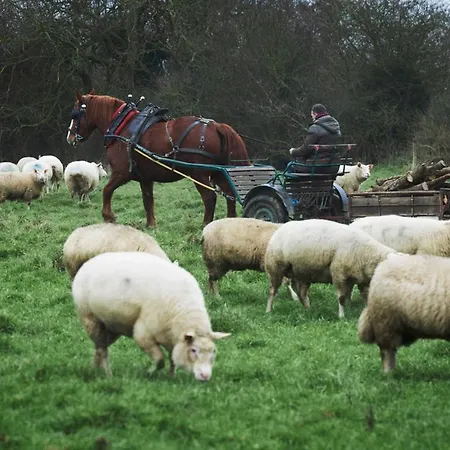 Semesterbostad Ferme De Franqueville *