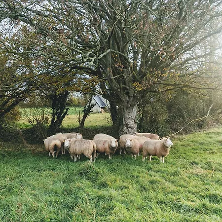 Сasa de vacaciones Ferme De Franqueville Sainte-Marie-du-Mont (Manche)