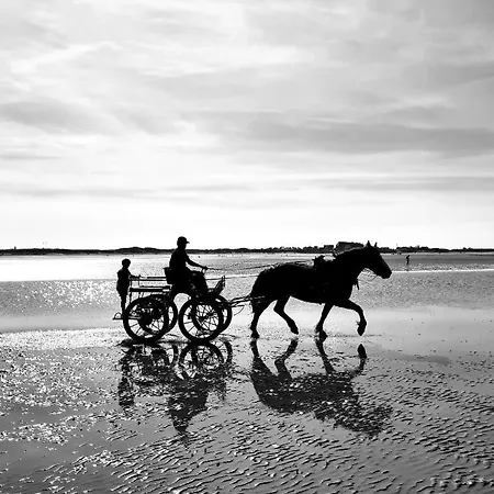 Hébergement de vacances Ferme De Franqueville