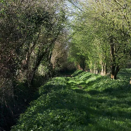 Ferme De Franqueville Sainte-Marie-du-Mont (Manche)