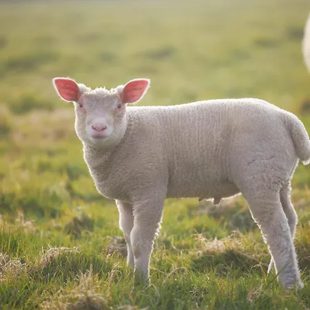 Ferme De Franqueville