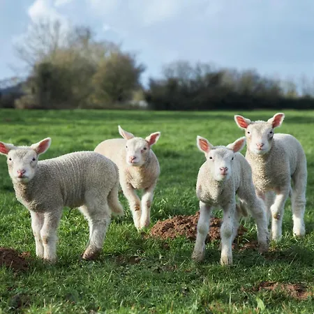 Ferme De Franqueville Сasa de vacaciones