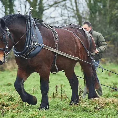 Semesterbostad Ferme De Franqueville