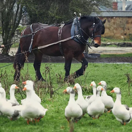 Ferme De Franqueville Hébergement de vacances Sainte-Marie-du-Mont (Manche)