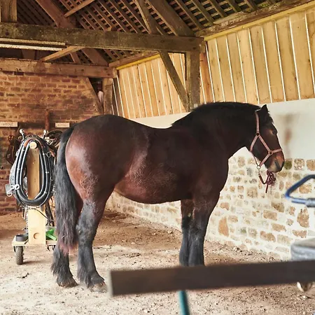 Ferme De Franqueville Sainte-Marie-du-Mont (Manche)