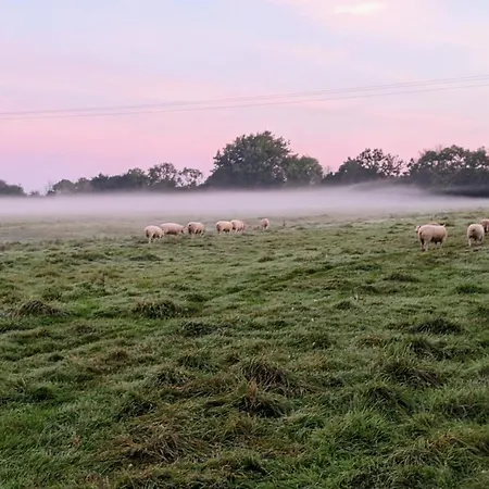 Ferme De Franqueville * Sainte-Marie-du-Mont (Manche)
