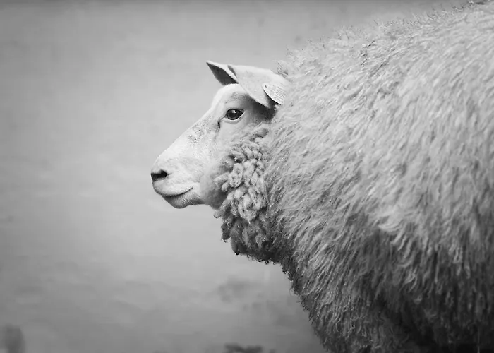Ferme De Franqueville Hébergement de vacances *