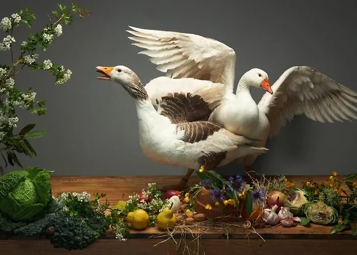 Ferme De Franqueville *