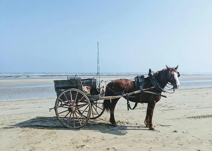 Ferme De Franqueville * Sainte-Marie-du-Mont (Manche)