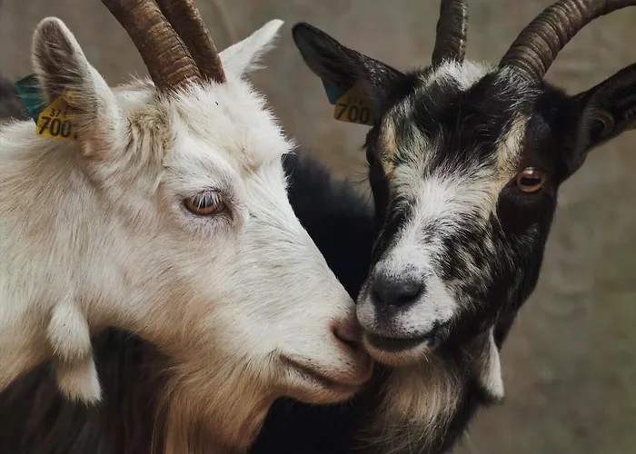 Ferme De Franqueville Casa vacanze