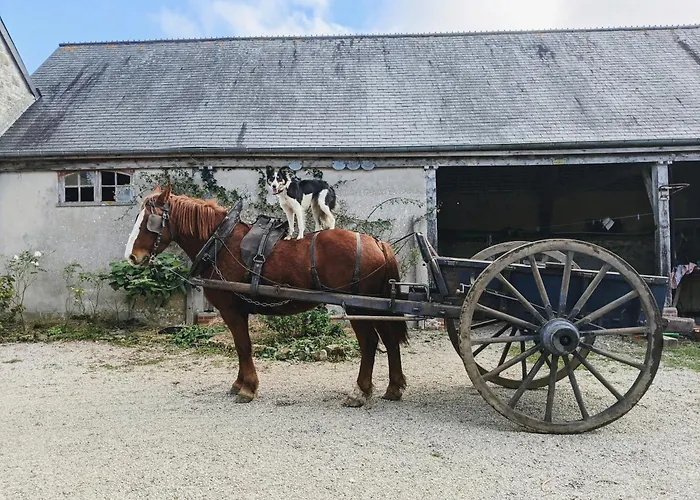 Ferme De Franqueville Casa vacanze *
