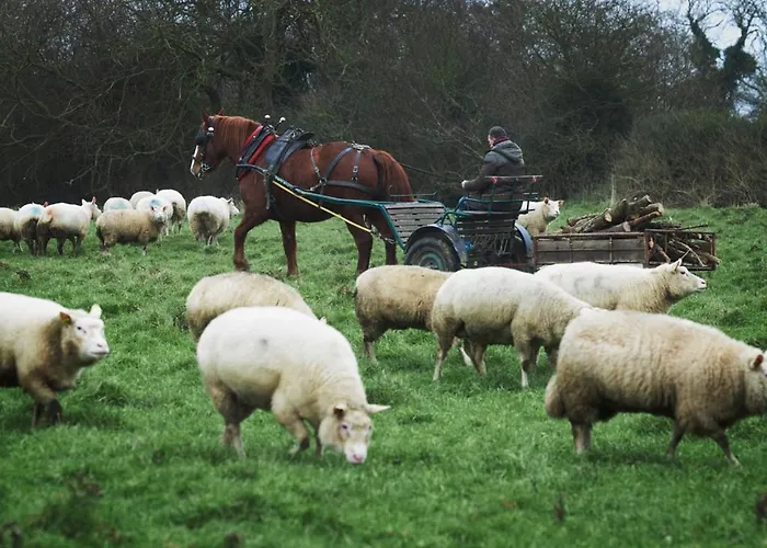 Σπίτι διακοπών Ferme De Franqueville *