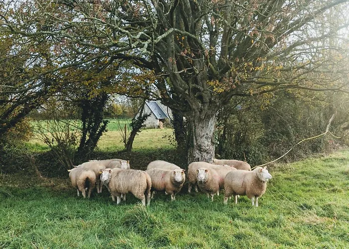 Hébergement de vacances Ferme De Franqueville Sainte-Marie-du-Mont (Manche)