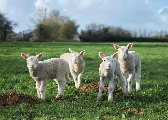 Ferme De Franqueville Hébergement de vacances