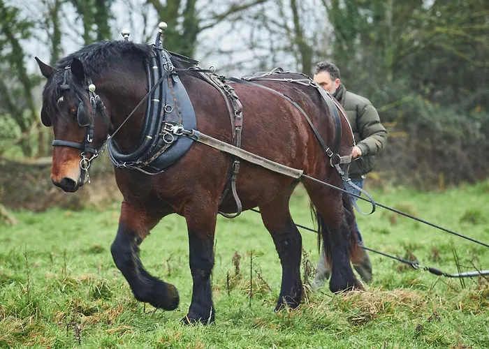 Casa vacanze Ferme De Franqueville