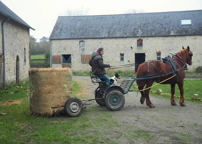 Hébergement de vacances Ferme De Franqueville *