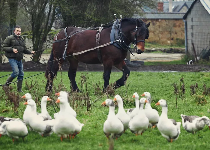 Ferme De Franqueville Σπίτι διακοπών Sainte-Marie-du-Mont (Manche)