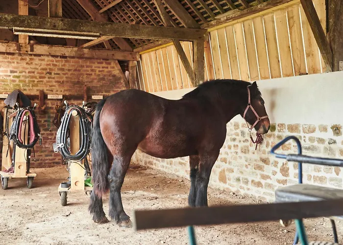 Ferme De Franqueville Sainte-Marie-du-Mont (Manche)