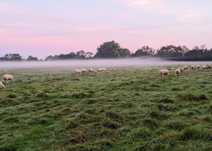 Ferme De Franqueville * Sainte-Marie-du-Mont (Manche)